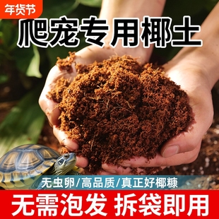 爬宠专用椰土乌龟冬眠专用土蜘蛛仓鼠用垫材饲养缸疏松