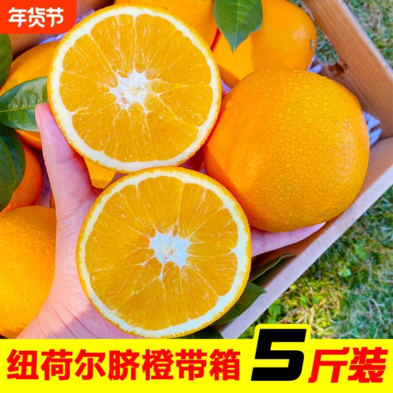 正宗湖南纽荷尔脐橙5斤包邮当季新鲜水果橙子整箱手剥橙果冻自提,水产肉类/新鲜蔬果/熟食,橙,淘宝优惠券,粉丝福利购,淘宝优惠卷