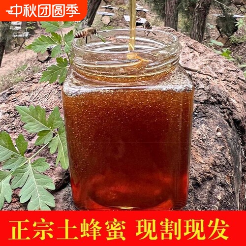 浪浪花海深山百花蜜现割现发