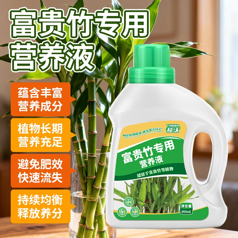 富贵竹营养液水培专用促生根