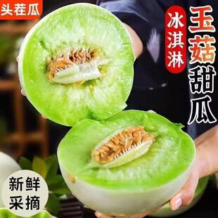 山东头茬玉菇甜瓜新鲜水果9斤整箱当季香瓜现摘甜瓜蜜瓜羊角黄金