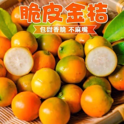 老大树广西脆皮金桔当季新鲜水果纯甜金橘孕妇脆大果