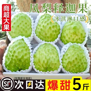 SVIP云南释迦果5斤新鲜牛奶凤梨大目番荔枝孕妇水果整箱顺丰 包邮