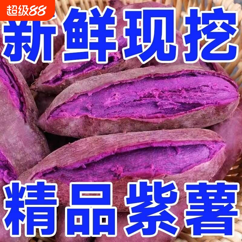 2026年正宗紫薯新鲜沙地番薯粉糯香甜板栗红薯地瓜蜜薯冰淇淋紫心图片