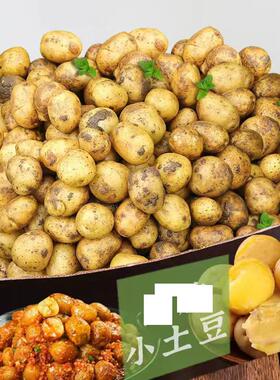 正宗贵州土豆农家自种新鲜洋芋