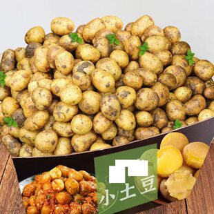 正宗贵州土豆农家自种新鲜洋芋黄心土豆马铃薯