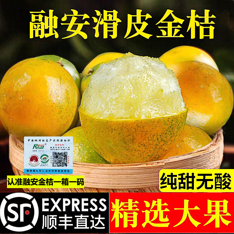 顺丰包邮新鲜广西融安脆皮金桔鲜果金桔果园现摘新鲜水果多汁