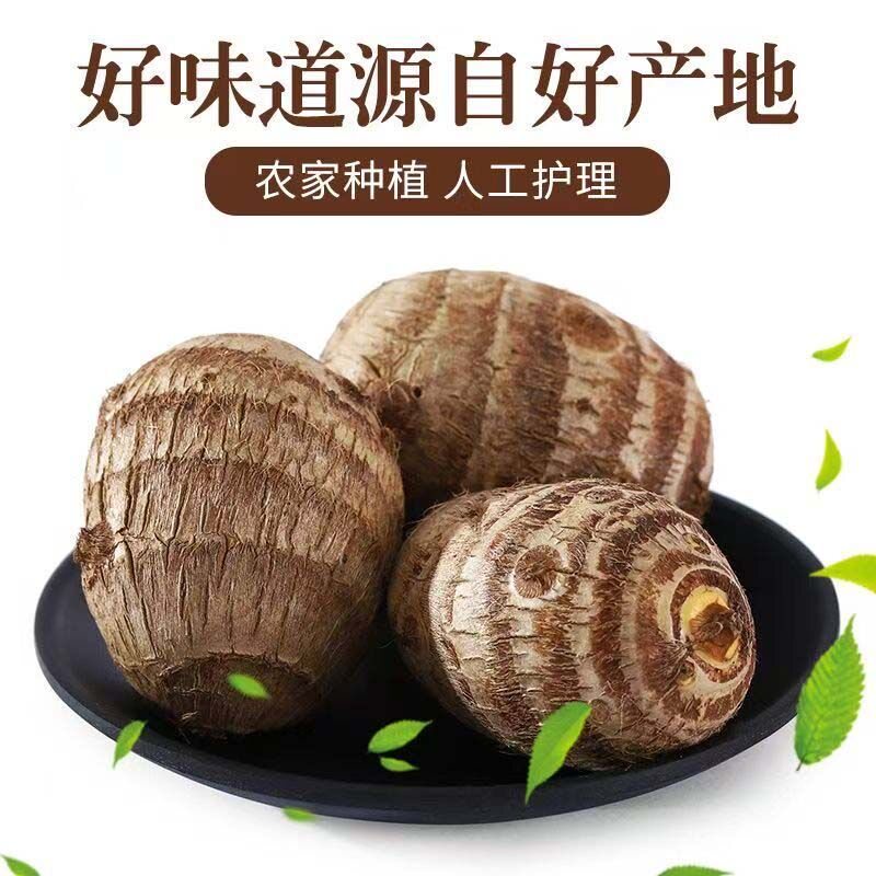 云南农家现挖牛奶芋头老品种毛芋头新鲜软糯小芋头精选皮薄各地