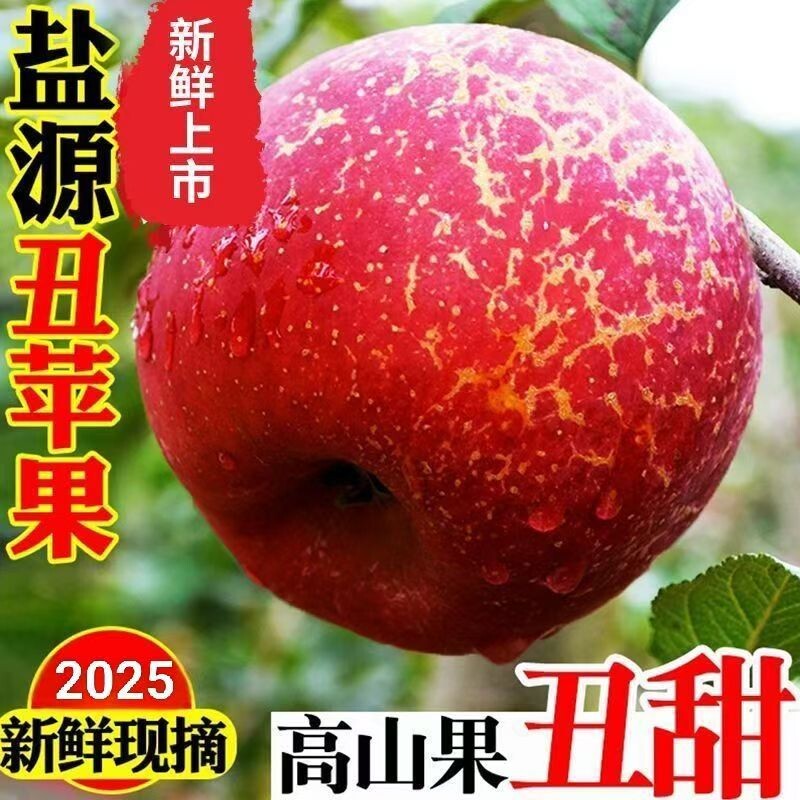 丑苹果冰糖心大凉山盐源当季麻脸红富士原生态鲜水果现摘现发高原