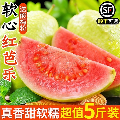 【5斤芭乐钜惠】软糯香甜超好吃