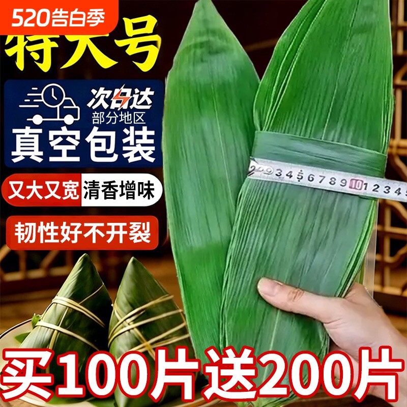 粽叶新鲜粽子叶特大号精选包粽子专用粽绳叶端午鲜叶干叶棕叶商用