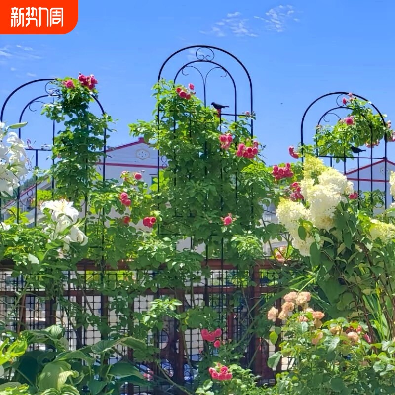 户外铁艺花园庭院栅栏爬藤架花架铁线莲蔷薇月季植物绿萝撑杆支架