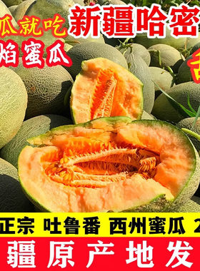 新疆哈密瓜正宗脆甜瓜9-10斤新鲜当季水果香瓜西州蜜顺丰原产地