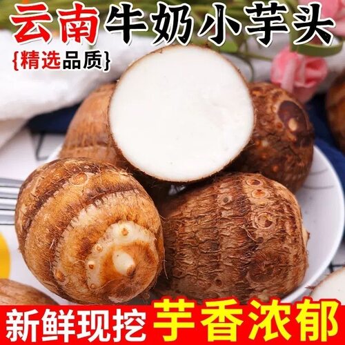 云南高山现挖新鲜牛奶毛芋头蔬菜