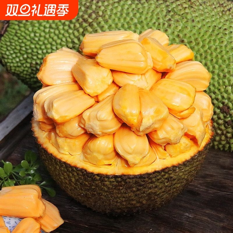 海南特产树菠萝蜜新鲜水果木波罗蜜当季整箱20-40斤一整个包邮红