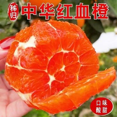 正宗血橙中华红心橙子当季新鲜水果整箱顺丰冰糖手剥果冻香甜橙子