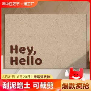 多巴胺配色进门地垫奶油风门口入户门脚垫pvc丝圈可裁剪玄关地毯