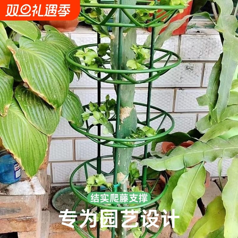 花卉支架蟹爪兰花架开口园艺爬藤架结实支撑架多层花托