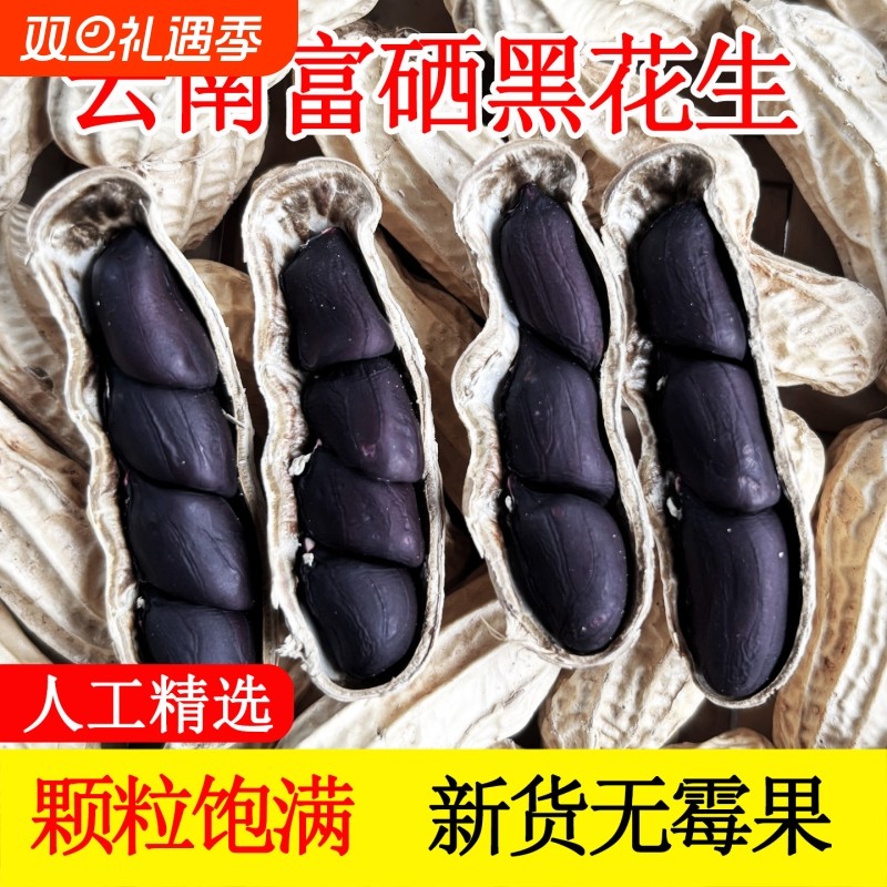 富硒黑花生带壳2025新货云南普洱特产晒干生熟黑皮花生米大粒健康