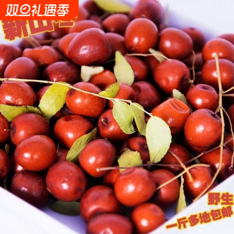 正品山西特产野生酸枣果新鲜原味野山枣孕妇休闲零食解馋酸味泡酒