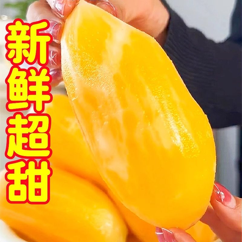 云南天山雪莲果现挖现发高原脆甜雪中仙果当季新鲜水果批发包邮,水产肉类/新鲜蔬果/熟食,雪莲果,淘宝优惠券,粉丝福利购,淘宝优惠卷