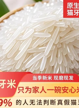 广西长寿之乡上林大米2025年新米象牙象米农家长粒香米猫牙米10斤