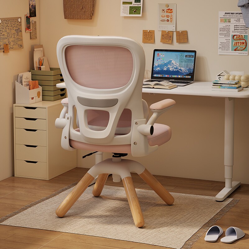中小学生学习椅可升降书桌写字椅青少年初高中生专用人体工学座椅