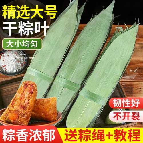粽子叶棕叶新鲜大号包粽子专用的叶子端午节批发干粽叶大真空回购