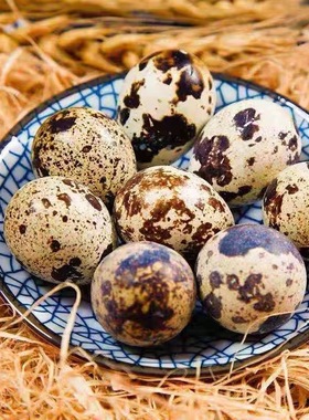 绿色杂粮生鲜鹌鹑蛋孕妇宝宝辅食鹑鸟蛋鲜鹌鹑蛋整箱商用批发
