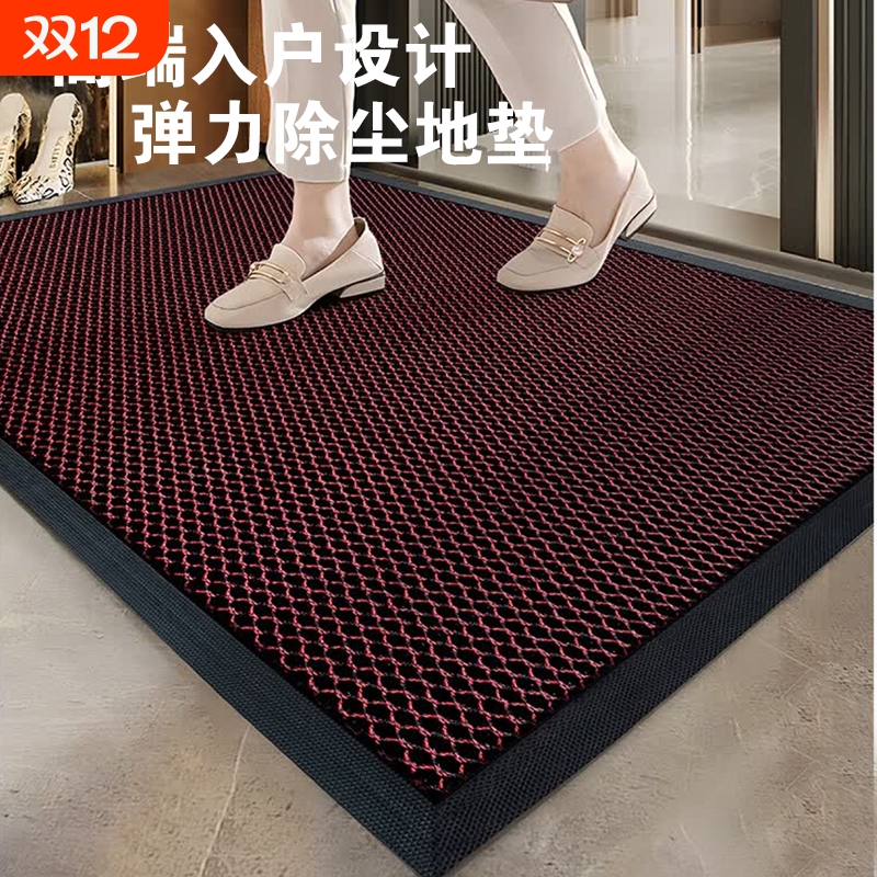 高端入户门垫进门地垫2025新款别墅大门防滑垫地毯厨房客厅电梯