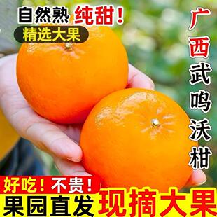 新鲜水果 正宗广西武鸣沃柑新鲜沃柑9斤新鲜水果现摘柑橘桔子当季