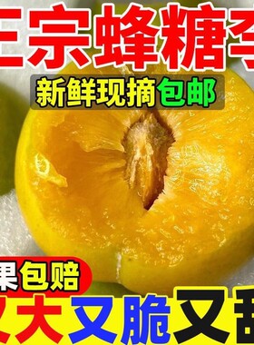 稀有蜂糖青脆李高山野生酸甜