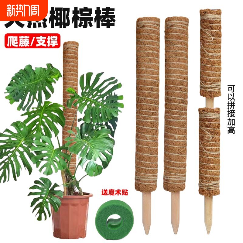 绿箩攀爬柱椰棕棒龟背竹支撑杆固定架植物爬藤花架棕榈皮椰丝苔藓