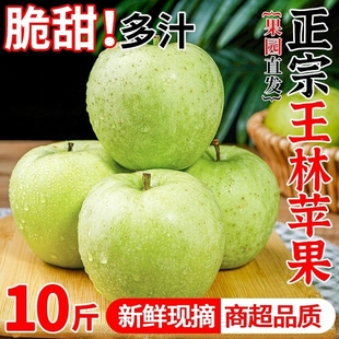包邮 正宗王林苹果雀斑美人新鲜水果应当季 现摘脆甜青森丑萍果整箱