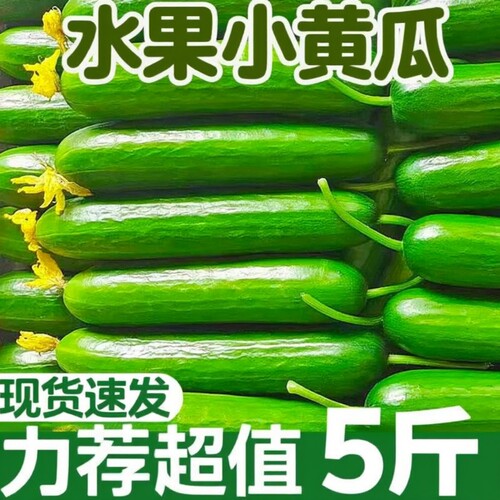 新鲜水果黄瓜脆嫩|超1.5万次加购