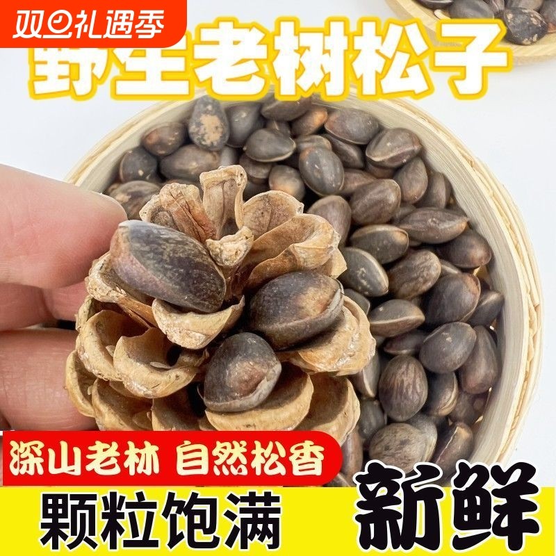 饱满野生松子原味新货大颗粒薄壳坚果松仁云南送夹子新鲜散装