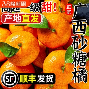 正宗广西砂糖橘整箱沙糖桔新鲜水果当季蜜桔橘子贡柑顺丰包邮