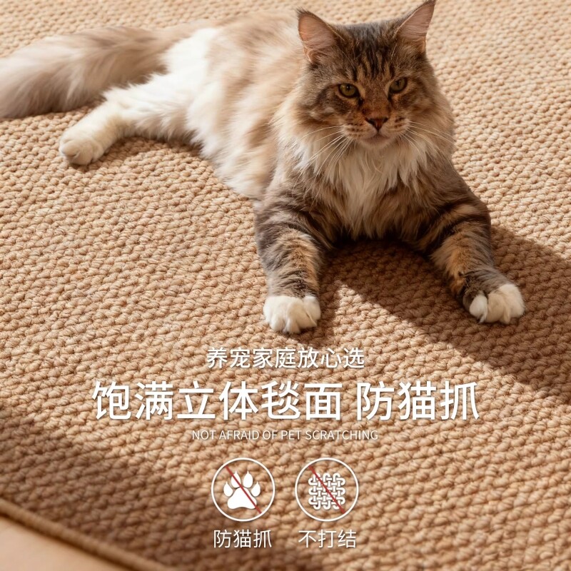 仿剑麻中古风地毯客厅2026新款防猫抓可机洗亚麻编织宠物养猫地毯