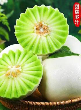 山东玉菇甜瓜冰淇淋甜瓜