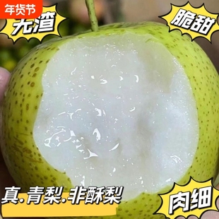 梨子新鲜砀山青梨皇冠梨当季翠冠梨香酥脆蜜早雪梨整箱包邮正宗