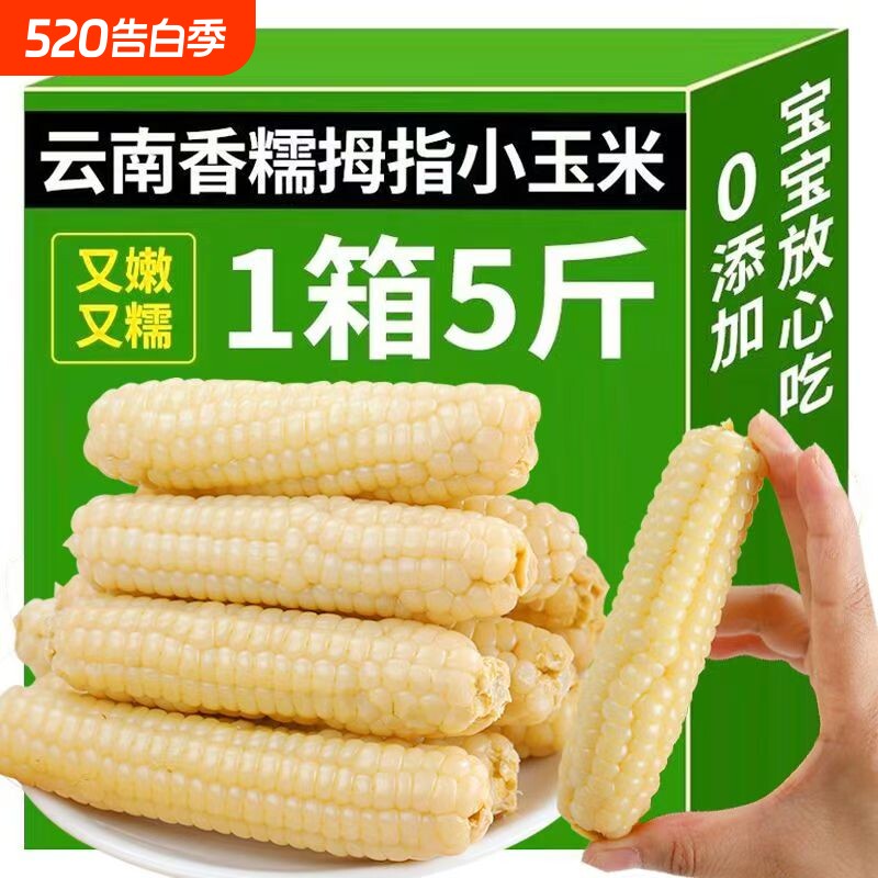 云南西双版纳儿童拇指玉米宝宝辅食新鲜手指香糯小玉米年货香甜