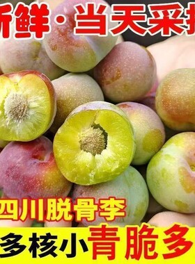 四川脱骨李半边红青脆李脆脆孕妇水果现摘现发青红李子