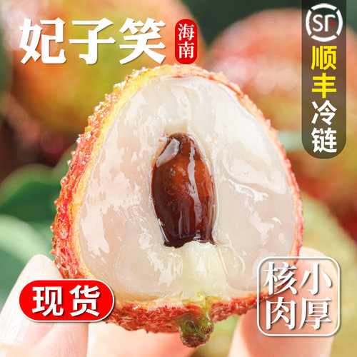 海南妃子笑荔枝当季整箱顺丰包邮