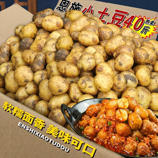 新鲜恩施小土豆黄心土豆迷你马铃薯整箱蔬菜洋芋新鲜高山农家力荐