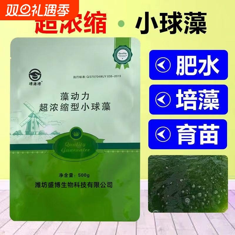 蛋白核小球藻藻种水产养殖鱼虾蟹小龙虾水库池塘肥水培藻复合藻种