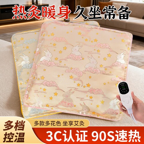 电加热艾灸坐垫秋冬加热保暖垫家用发热毯子座椅垫热敷艾草红花
