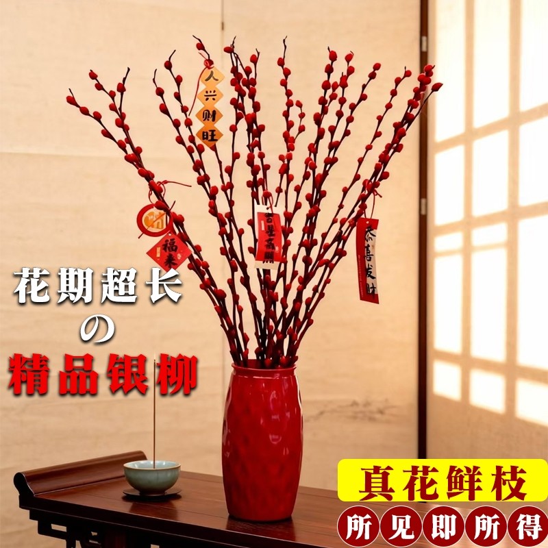银柳干花真花鲜枝水培植物红色银柳年宵花卉福桶客厅室内装饰干花