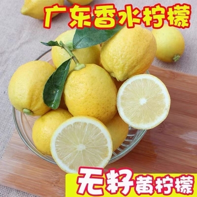 香水黄柠檬新鲜皮薄5斤当季水果奶茶店专用包邮非安岳黄柠无籽