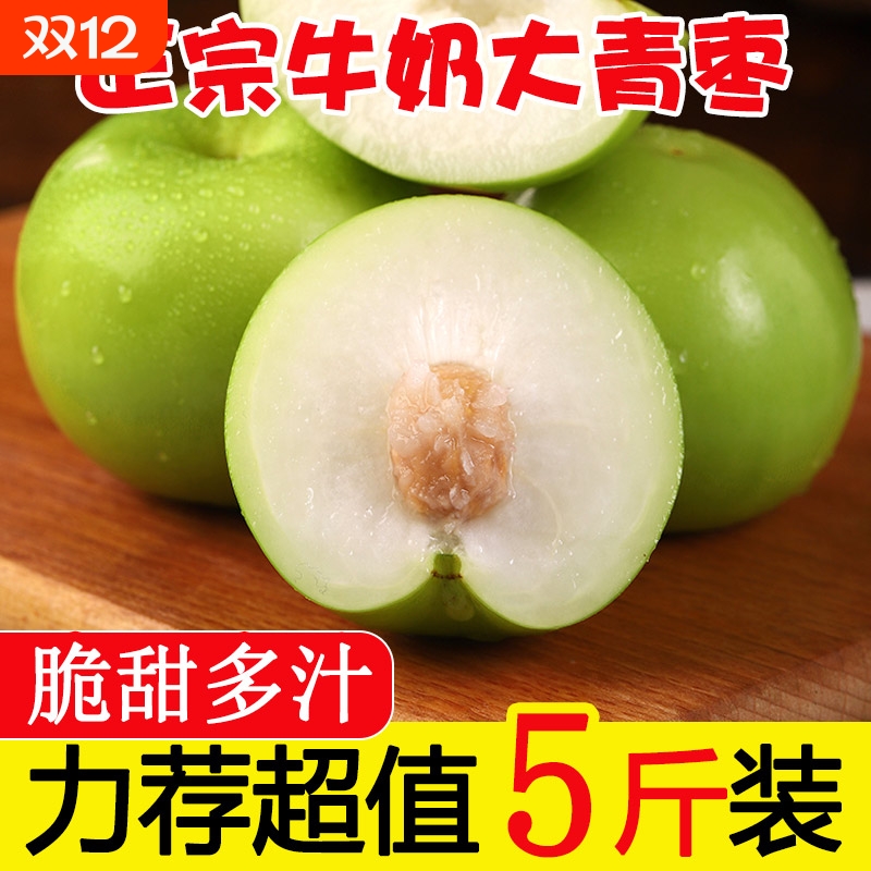 福建牛奶大青枣5斤新鲜水果