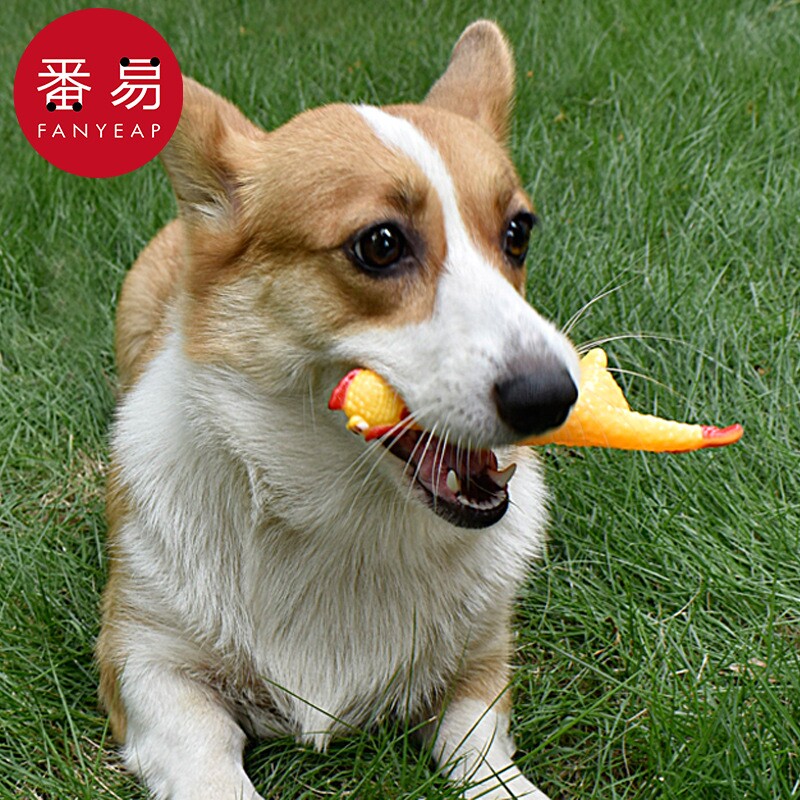 宠物玩具A1pl200-狗狗磨牙玉米棒耐咬骨头发声尖叫鸡解闷幼犬用